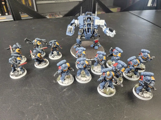 Warhammer 40,000: Space Wolves Painted Lot USED
